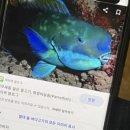 모닝국수&김밥 이미지