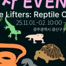 어게인게코파충류샵
