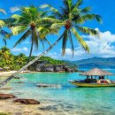 수당농장 | 🏖️ 푸꾸옥 자유여행, 렌트카로 완벽하게! 7인승/16인승 km무제한 후기