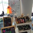 감사약국 이미지