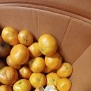 나오리농장 이미지