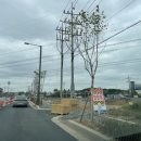 시도19호선 이미지