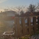 삼막골카라반펜션 이미지