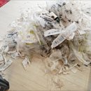 동아파크 이미지