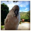 낙원파크 이미지