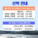 (주)보고여행사 | 포항 울릉도 패키지 삼성여행사로 다녀온 완벽했던 2박 3일 섬 여행 솔직 후기