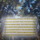 단재고등학교 | 할매 책 후기 황석영 | 지금 홀로 차가운 겨울을 보내고 있을 당신에게 추천 리뷰 핵심 요약