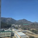 자연오투
