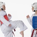 시흥경희대 여명태권도장 이미지