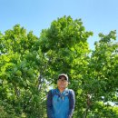 함양삼봉산~상림공원양귀비꽃관람 이미지