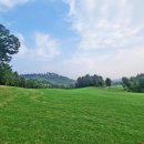 현대프라자세탁 이미지