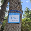 송악환승정류장 | [제주도] 제주 올레길 10코스 완주 후기