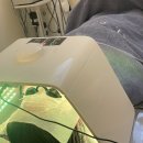행복한피부 | [중곡동 피부관리] 행복한아이피부관리실에서 레몬재생테라피 관리받고온 후기