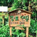 창포연못낚시터 이미지