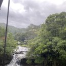 온천택시합명회사 | [블챌]대만여행_3탄_폭포, 지우펀, 우롱티, 3일차, 식물원, 스프링시티리조트, 노천온천