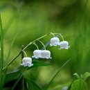 홍익대학교  박물관 이미지