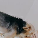 [공지] 2月: 독립계절