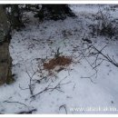 다람쥐마을 이미지