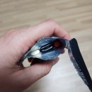 건메딕스 | 30대 후반 남성영양제 시작, 전립선 건강 관리는 네오메딕스 맨포뮬러 솔직 후기