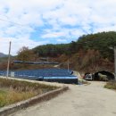 용수길(도산면) 이미지