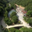 금산산림문화타운 이미지