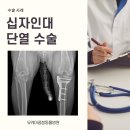 보라매동물병원 이미지