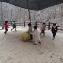 본아미강남어린이집 이미지