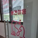 그랜드 애견 미용 이미지