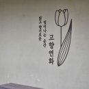 고향장식인테리어