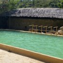 힐링스파식당 이미지