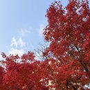 청사이비인후과의원 | 백수의 39주일 삶