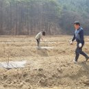 골말농장 이미지