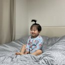 오뎅오색