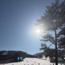 메가카정비 | 모나 용평 스키장 리프트 렌탈 가격 초급 슬로프 및 먹거리 식당 후기