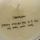 RR-865[성불로]-하-7 | 240203 잠시만요, 저 지금 이머시브 사운드로 윤하언니랑 얘기하고 있잖아요. (20주년 기념 콘서트...