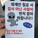 혜진에프디 | 구루마 안가지고 2026 궁디팡팡 캣페스타 (궁팡 @ 양재at센터) 갖다온 후기 (주차팁 / 사진 많음 주의!)