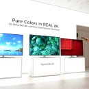 화룡점정 이미지