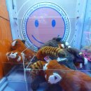 스마일 뽑기방 이미지