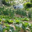 영천횟집 이미지