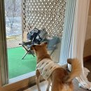 피아프스테이 이미지