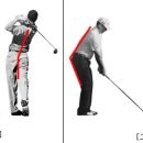 투온골프 이미지