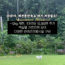 도그버디 이미지
