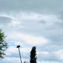 파크골프 이미지