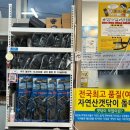 여차 갯닦이 미역