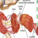 인바디 남부 이미지