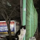 홍대감생고기 | 2월 일기