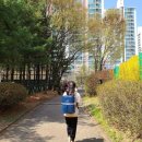 F49 | [프라이탁] F49 FRINGE 구매 후기