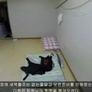 추자바다25시 네이버블로그