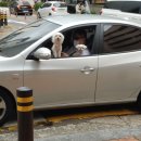 흰돌1호 이미지