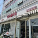 포튜나에스플라워 이미지